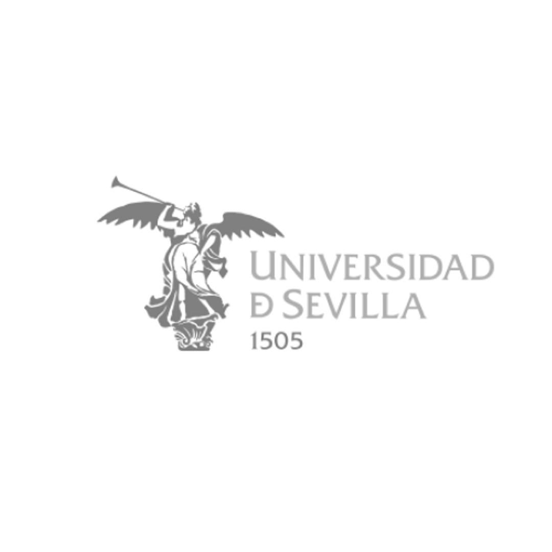 Universidad de Sevilla